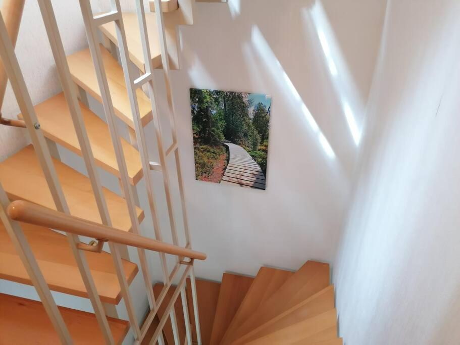 Ferienhaus Hoher Weg - Urlaub, Wandern, Downhill Und Workation Am Nationalpark Harz 圣安德里斯伯格 外观 照片