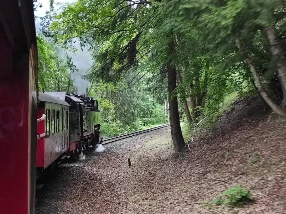 Ferienhaus Hoher Weg - Urlaub, Wandern, Downhill Und Workation Am Nationalpark Harz 圣安德里斯伯格 外观 照片