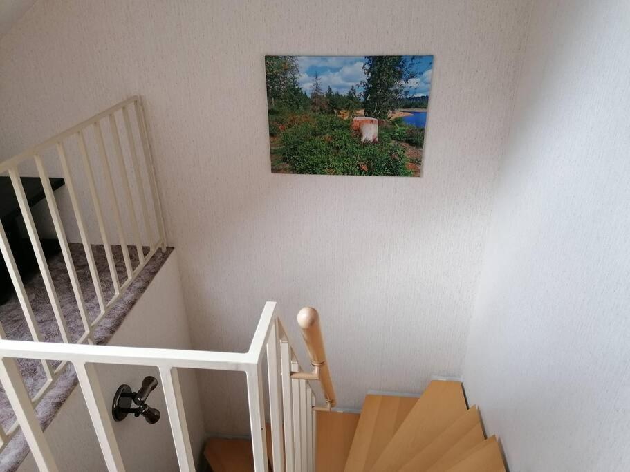 Ferienhaus Hoher Weg - Urlaub, Wandern, Downhill Und Workation Am Nationalpark Harz 圣安德里斯伯格 外观 照片