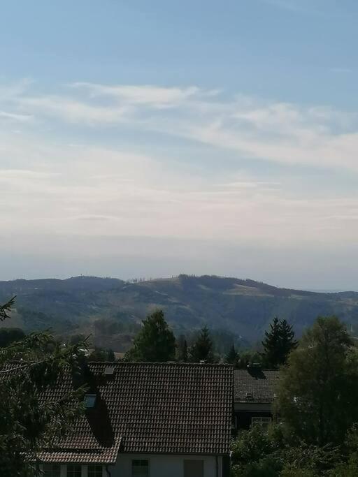 Ferienhaus Hoher Weg - Urlaub, Wandern, Downhill Und Workation Am Nationalpark Harz 圣安德里斯伯格 外观 照片