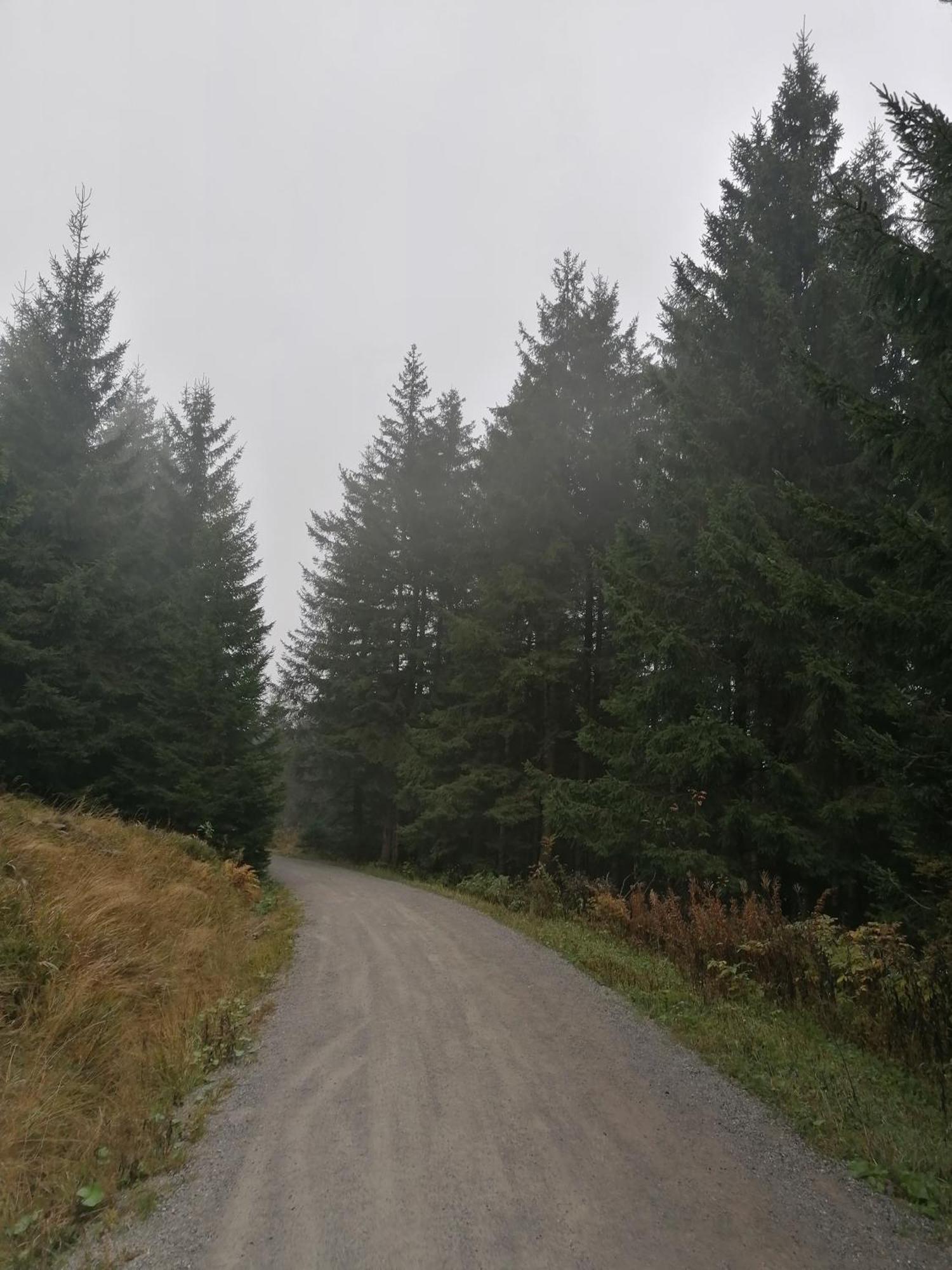 Ferienhaus Hoher Weg - Urlaub, Wandern, Downhill Und Workation Am Nationalpark Harz 圣安德里斯伯格 外观 照片