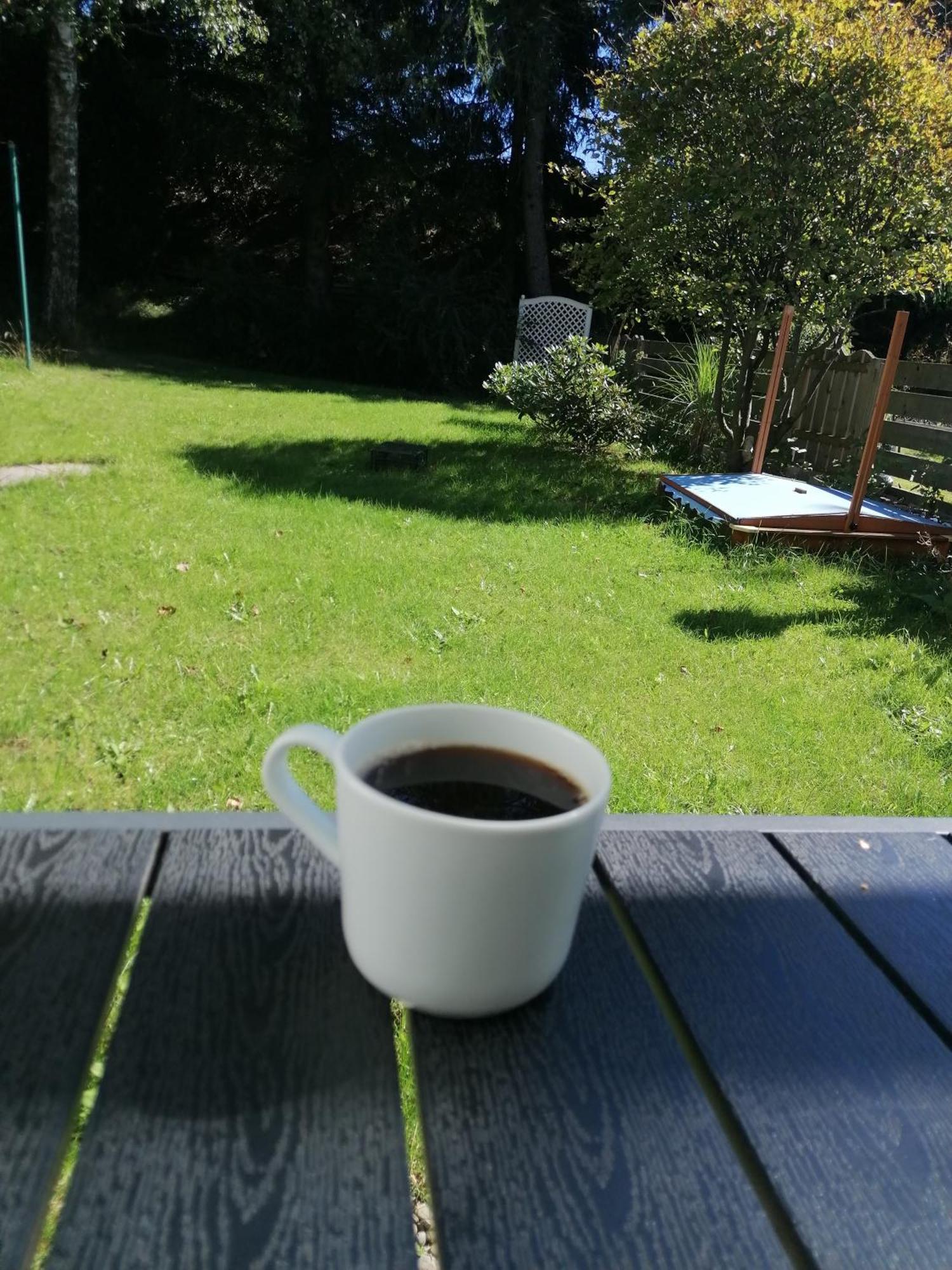 Ferienhaus Hoher Weg - Urlaub, Wandern, Downhill Und Workation Am Nationalpark Harz 圣安德里斯伯格 外观 照片